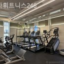 스타휘트니스 246 이미지