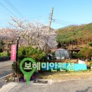 보헤미안펜션 이미지