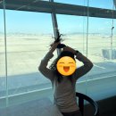 물고기의눈물이호수로 | 호텔 유후인 슈호칸(다다미방), 쟈지푸딩 커피맛, 긴린호수, 마메시바 카페, 모모치해변, 가챠...