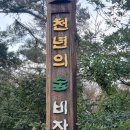 제주도 5일차 이미지