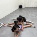 씨유청주용암인성점 | 체형 교정부터 자신감까지!! 동남지구 에르디아실용무용학원 발레