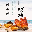 멍게 이미지