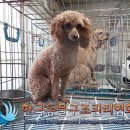 중계중학교 이미지