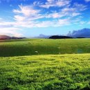 힐링미한의원 이미지