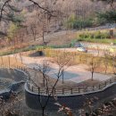 용암산성오토캠핑장 이미지