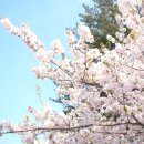 금계초등 이미지