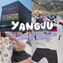 양주 창고형 할인매장'키즈 마켓 아동복 편집숍'20개월(조카 옷 선물🎁)
