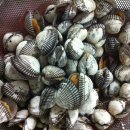 황금포차 이미지