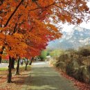 월출산 氣찬묏길 이미지