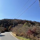 전북 장수 장안산 등산코스최단코스 블랙야크100대 명산 대전근교 억새밭 가을산행지로 추천(무릉고개...