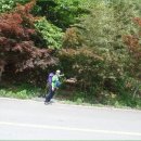 별밤펜션민박 이미지