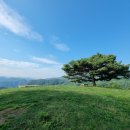 송화목장 이미지