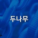 나무메디 이미지