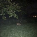 나인브릿지골프클럽(회원제) 이미지