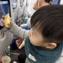 (주)사조그랜드리조트 | 21개월 아기와 칸쿤 여행 1~2일차｜비행기, 그랜드피에스타 아메리카나 코랄비치 리조트, 바다 후기