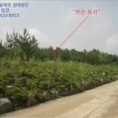 경기도 양평군 곡수초등학교 이미지