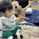 도레미 노래교실 | 과천 이마트 문화센터 후기 : 애기똥풀, 와글와글 미술, 글렌도만, 뽀짝뽀짝, 도레미팡팡