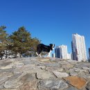 미사한강1호공원 이미지