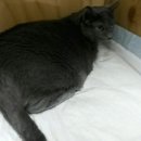 세계로 동물병원 이미지