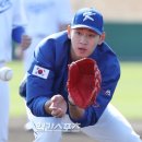 이대은 카카오 검색결과