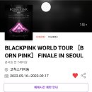 한국 여자가수 최초로 고척돔 입성한 블랙핑크 예매 잔여 티켓 상황. 이미지