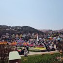꽃피는 4월 에버랜드 가족나들이(ft. 중년부부데이트)