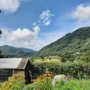 모래불 펜션 | 정선 감성펜션,스테이 모래불 만족 후기