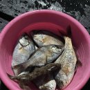 황금빛노을바다 낚시터 이미지