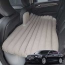 편안하개 이미지