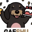 개슈(GAESHU) 네이버블로그