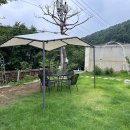 어뮤즈 545 이미지