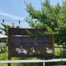 선아목장 이미지