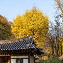 한국민속촌 티스토리