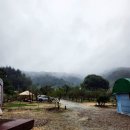 안녕농촌 | 충북 캠핑장 리뷰 | 여름방학 반려견 동반으로 다녀온 음성농촌관광농원 후기