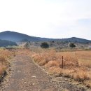 성읍승마장 이미지