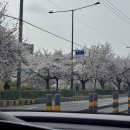 알록달록했던 4월 일상💐