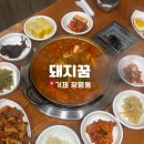 장평2로 | 거제 장평후문 점심 맛집 돼지꿈 솔직 후기