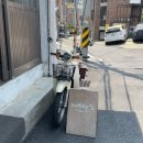 다소미국수랑김밥 | 6월 상반기 일상 - 집이다 ! (강식 묘식 유자 다있어요 구경하세ㅛ)