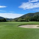 동강시스타 이미지