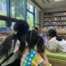 일품정육식당 네이버블로그