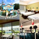 퍼스트크리닝 | 아이와 도쿄 디즈니랜드 호텔 마이하마 퍼스트 리조트 2박 후기