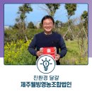 제주웰빙영농조합법인 이미지