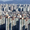 대전 아파트 경매건수 감소...세종·충남은 증가 이미지