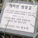 인천광역시 계양경기장 인천국제벨로드롬 | 인천 계양경기장 양궁장부터 계양 경기장 배구 총정리
