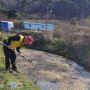 충남위생방역 네이버블로그
