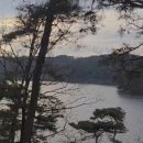 금광초등학교조령분교장 | 안성평택오산,봄테라리움부터 크리스마스리스까지조령분교장 원예키트 납품 후기