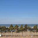 코너스윗