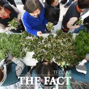 주식회사 희망나무 이미지