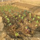 미현농장 이미지