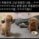 몰리 - 안양시 동안구 경수대로 458 | 몰리